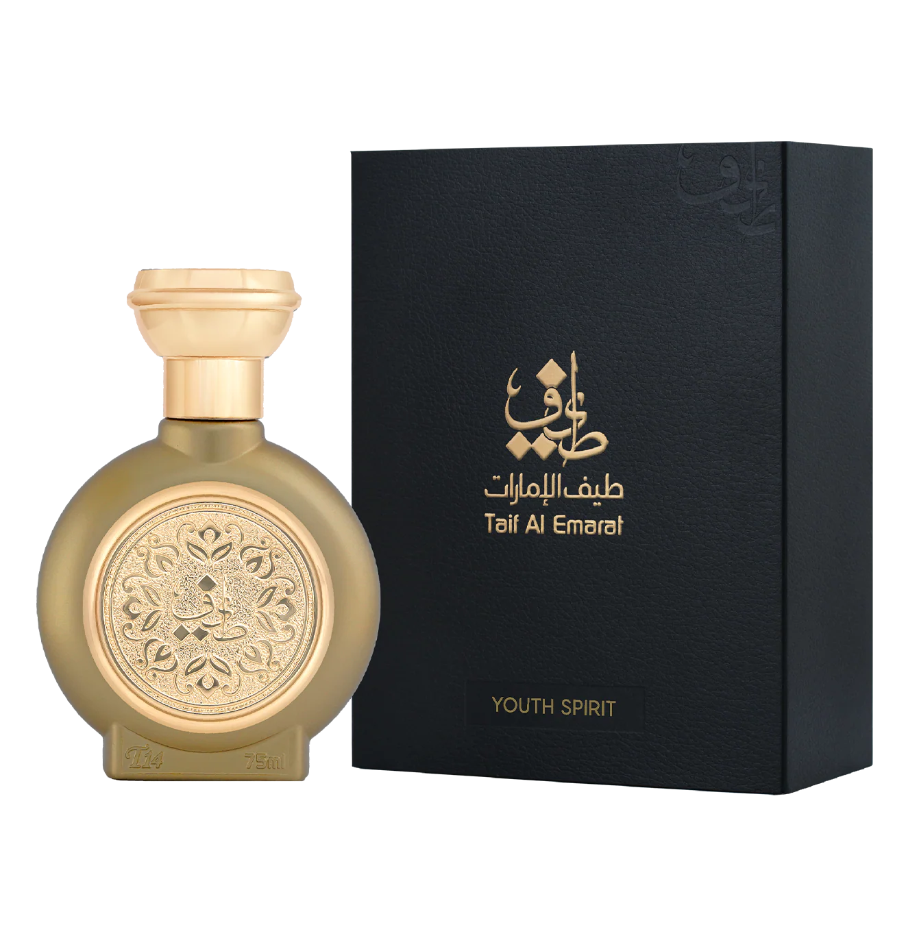 TAIF 14